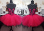 Halloween Costume Tulle Dress Skirt Corset Outfit Red Black Hi Low Skirt Harley Quinn Floral Brocade